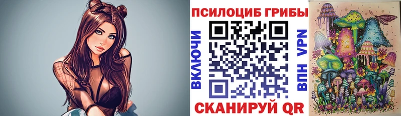 Галлюциногенные грибы Psilocybe  где найти наркотики  Троицк 