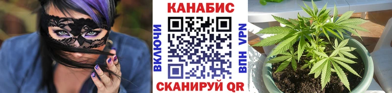 Бошки марихуана план Троицк